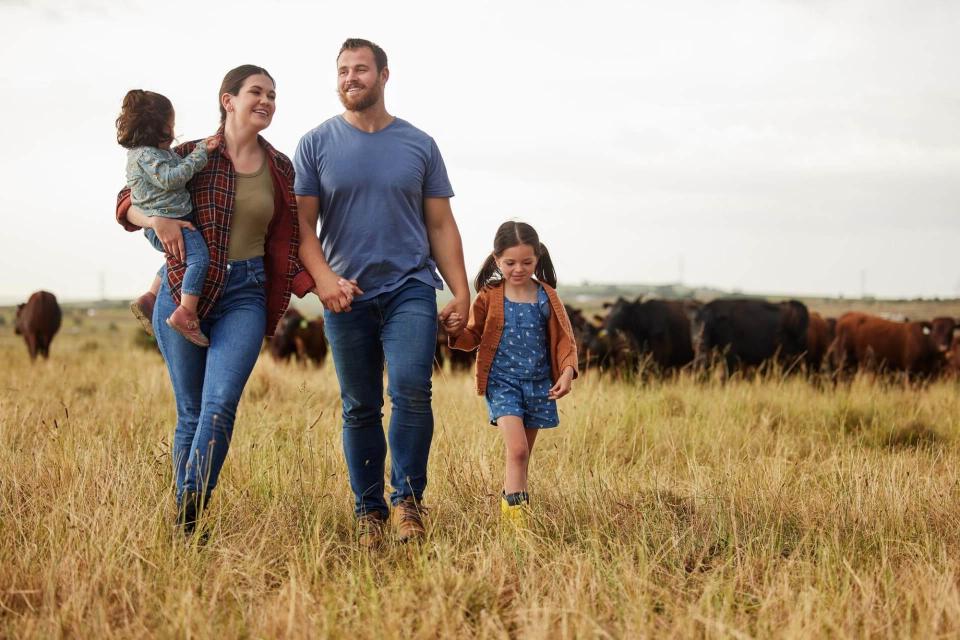 A smiling family of four walking through a sunlit Texas pasture with a herd of cattle in the background, representing family legacy and the protection of agricultural estate assets